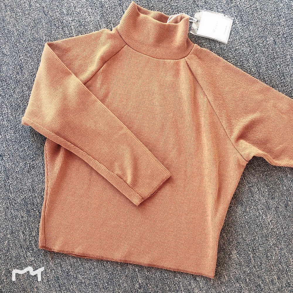 LastCall! NEW with tag turtle neck knit